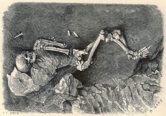fossil humà